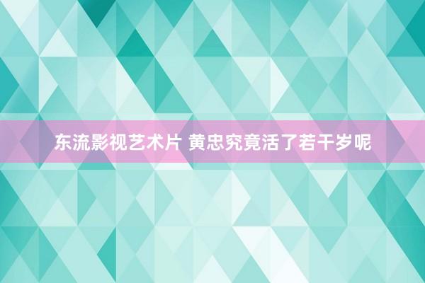 东流影视艺术片 黄忠究竟活了若干岁呢