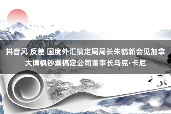 抖音风 反差 国度外汇搞定局局长朱鹤新会见加拿大博枫钞票搞定公司董事长马克·卡尼