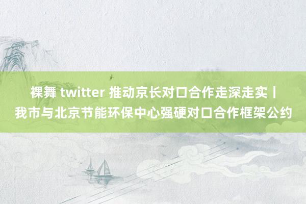 裸舞 twitter 推动京长对口合作走深走实丨我市与北京节能环保中心强硬对口合作框架公约