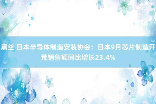 黑丝 日本半导体制造安装协会：日本9月芯片制造开荒销售额同比增长23.4%