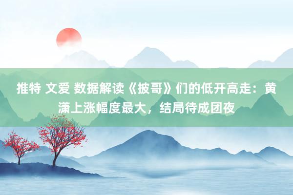 推特 文爱 数据解读《披哥》们的低开高走：黄潇上涨幅度最大，结局待成团夜