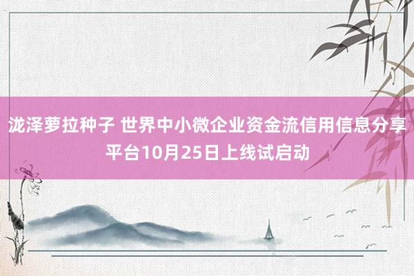 泷泽萝拉种子 世界中小微企业资金流信用信息分享平台10月25日上线试启动