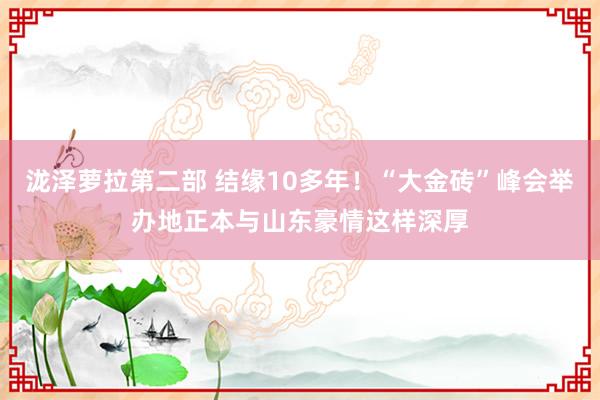 泷泽萝拉第二部 结缘10多年！“大金砖”峰会举办地正本与山东豪情这样深厚