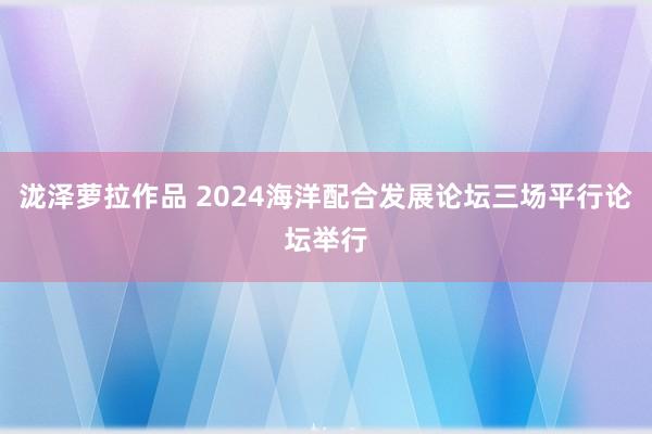 泷泽萝拉作品 2024海洋配合发展论坛三场平行论坛举行