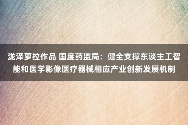 泷泽萝拉作品 国度药监局：健全支撑东谈主工智能和医学影像医疗器械相应产业创新发展机制