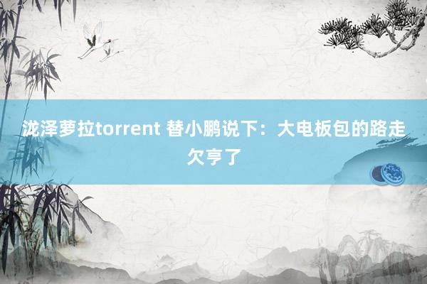 泷泽萝拉torrent 替小鹏说下：大电板包的路走欠亨了