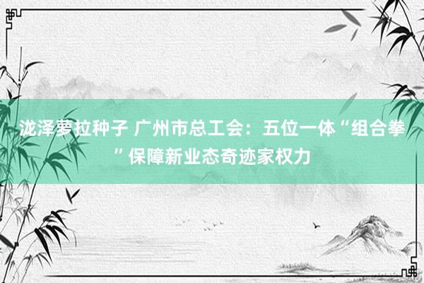 泷泽萝拉种子 广州市总工会：五位一体“组合拳”保障新业态奇迹家权力