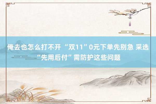 俺去也怎么打不开 “双11”0元下单先别急 采选“先用后付”需防护这些问题