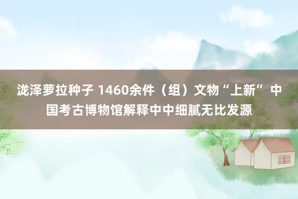 泷泽萝拉种子 1460余件（组）文物“上新” 中国考古博物馆解释中中细腻无比发源