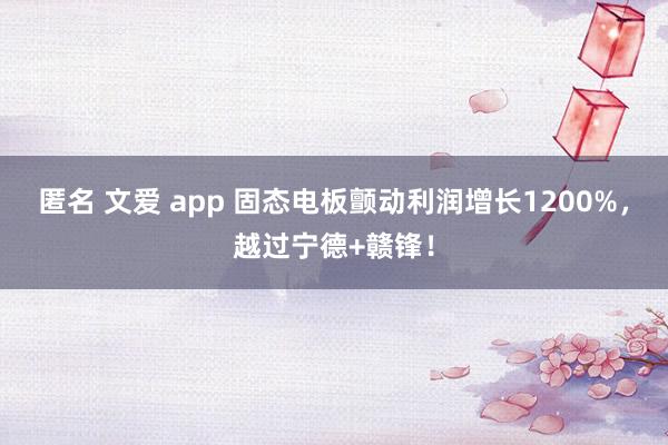 匿名 文爱 app 固态电板颤动利润增长1200%，越过宁德+赣锋！