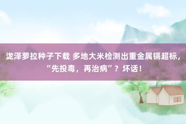 泷泽萝拉种子下载 多地大米检测出重金属镉超标，“先投毒，再治病”？坏话！