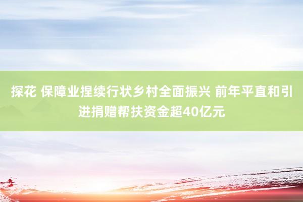 探花 保障业捏续行状乡村全面振兴 前年平直和引进捐赠帮扶资金超40亿元