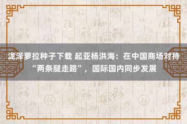 泷泽萝拉种子下载 起亚杨洪海：在中国商场对持“两条腿走路”，国际国内同步发展