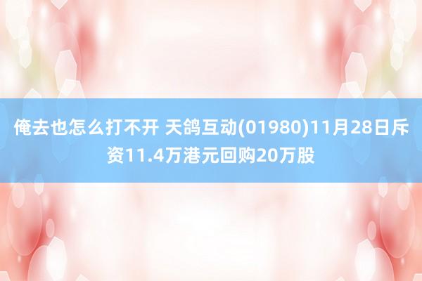 俺去也怎么打不开 天鸽互动(01980)11月28日斥资11.4万港元回购20万股