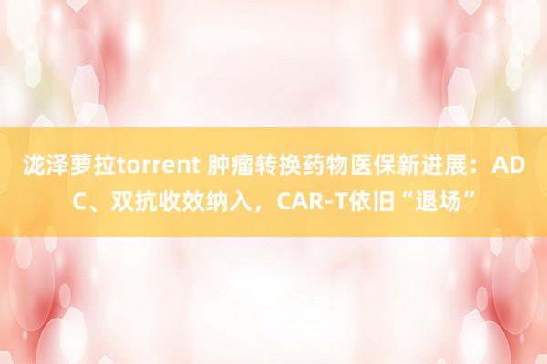 泷泽萝拉torrent 肿瘤转换药物医保新进展：ADC、双抗收效纳入，CAR-T依旧“退场”