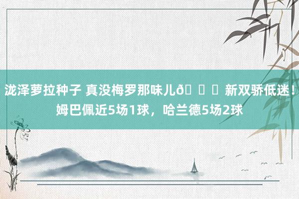 泷泽萝拉种子 真没梅罗那味儿🙄新双骄低迷！姆巴佩近5场1球，哈兰德5场2球