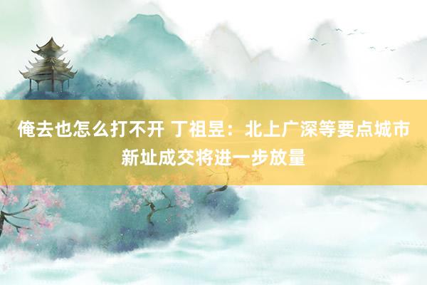 俺去也怎么打不开 丁祖昱：北上广深等要点城市新址成交将进一步放量