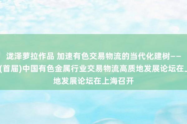 泷泽萝拉作品 加速有色交易物流的当代化建树——2024年(首届)中国有色金属行业交易物流高质地发展论坛在上海召开