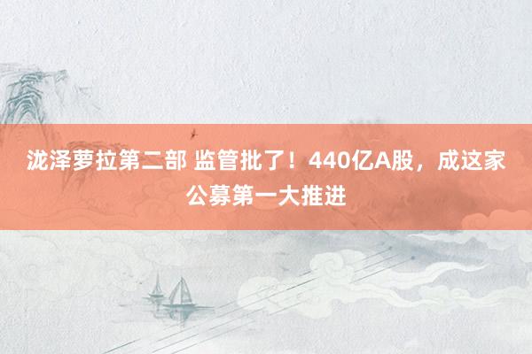 泷泽萝拉第二部 监管批了！440亿A股，成这家公募第一大推进