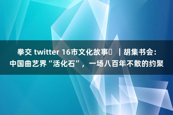 拳交 twitter 16市文化故事⑬｜胡集书会：中国曲艺界“活化石”，一场八百年不散的约聚