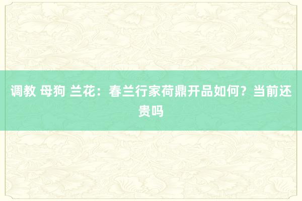 调教 母狗 兰花：春兰行家荷鼎开品如何？当前还贵吗