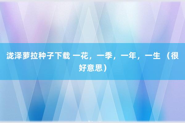 泷泽萝拉种子下载 一花，一季，一年，一生 （很好意思）