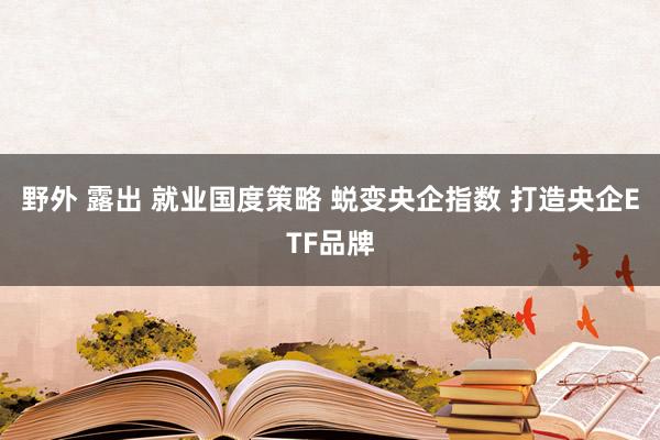 野外 露出 就业国度策略 蜕变央企指数 打造央企ETF品牌