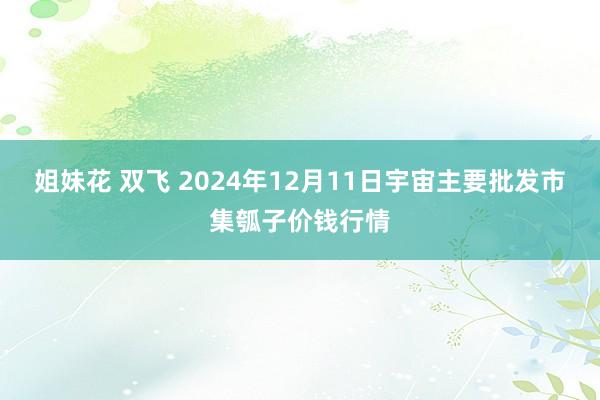 姐妹花 双飞 2024年12月11日宇宙主要批发市集瓠子价钱行情