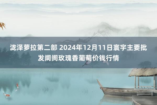 泷泽萝拉第二部 2024年12月11日寰宇主要批发阛阓玫瑰香葡萄价钱行情