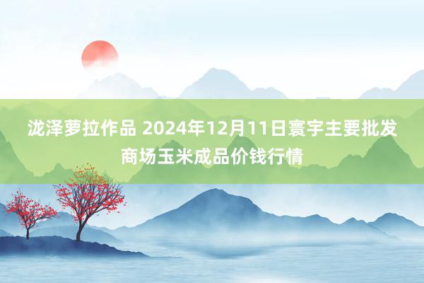 泷泽萝拉作品 2024年12月11日寰宇主要批发商场玉米成品价钱行情