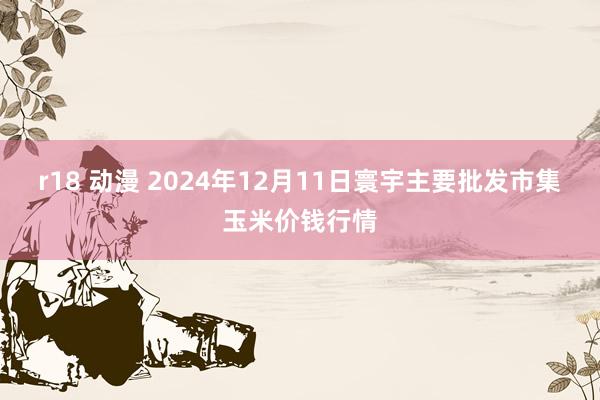 r18 动漫 2024年12月11日寰宇主要批发市集玉米价钱行情