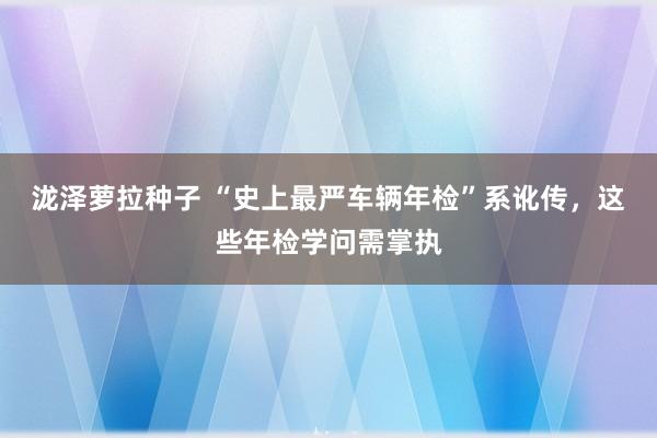 泷泽萝拉种子 “史上最严车辆年检”系讹传，这些年检学问需掌执