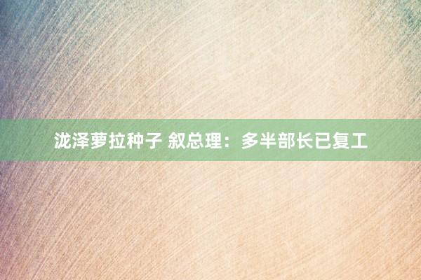 泷泽萝拉种子 叙总理：多半部长已复工