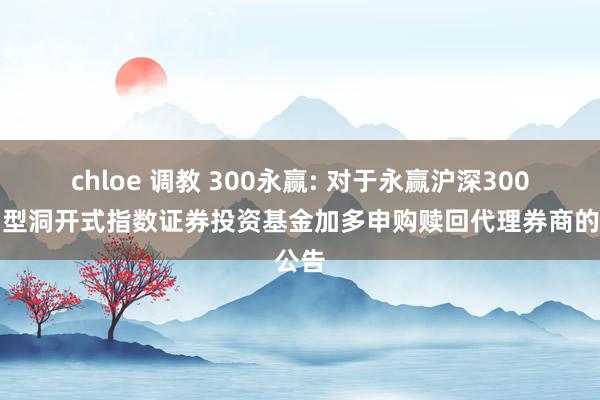 chloe 调教 300永赢: 对于永赢沪深300走动型洞开式指数证券投资基金加多申购赎回代理券商的公告