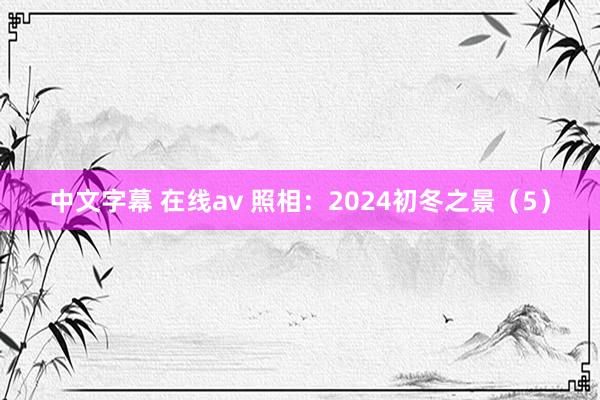 中文字幕 在线av 照相：2024初冬之景（5）