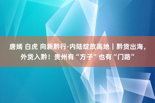 唐嫣 白虎 向新黔行·内陆绽放高地｜黔货出海，外货入黔！贵州有“方子”也有“门路”