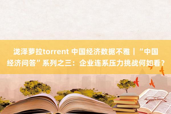 泷泽萝拉torrent 中国经济数据不雅｜“中国经济问答”系列之三：企业连系压力挑战何如看？