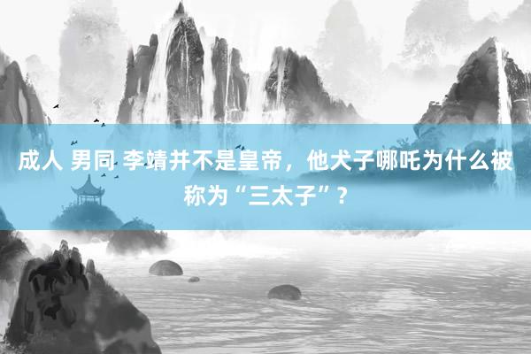 成人 男同 李靖并不是皇帝，他犬子哪吒为什么被称为“三太子”？