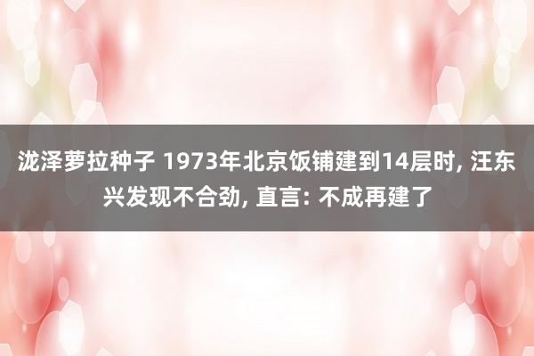 泷泽萝拉种子 1973年北京饭铺建到14层时， 汪东兴发现不合劲， 直言: 不成再建了