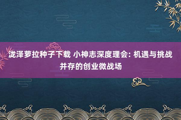 泷泽萝拉种子下载 小神志深度理会: 机遇与挑战并存的创业微战场