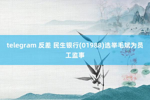 telegram 反差 民生银行(01988)选举毛斌为员工监事