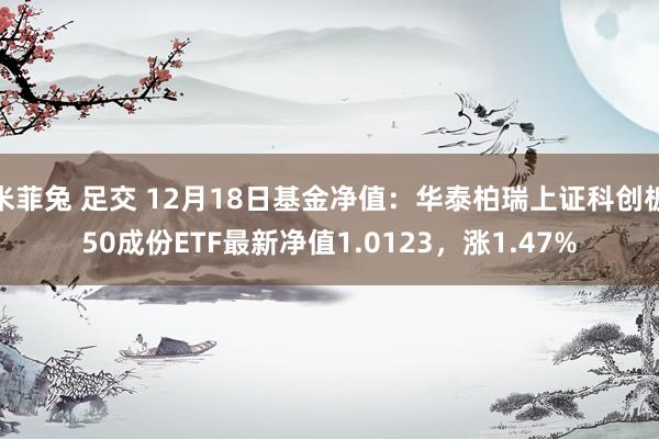 米菲兔 足交 12月18日基金净值：华泰柏瑞上证科创板50成份ETF最新净值1.0123，涨1.47%