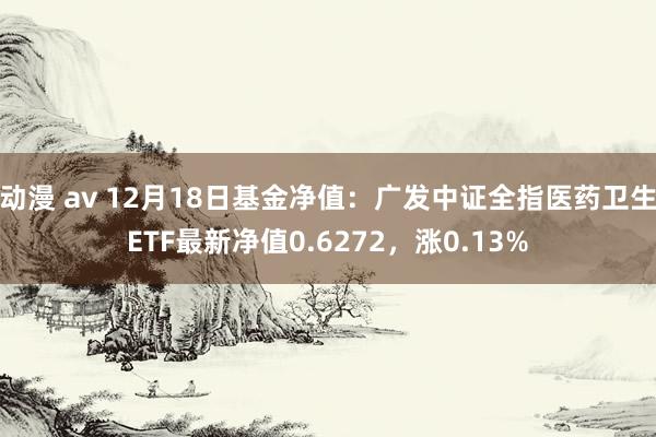 动漫 av 12月18日基金净值：广发中证全指医药卫生ETF最新净值0.6272，涨0.13%