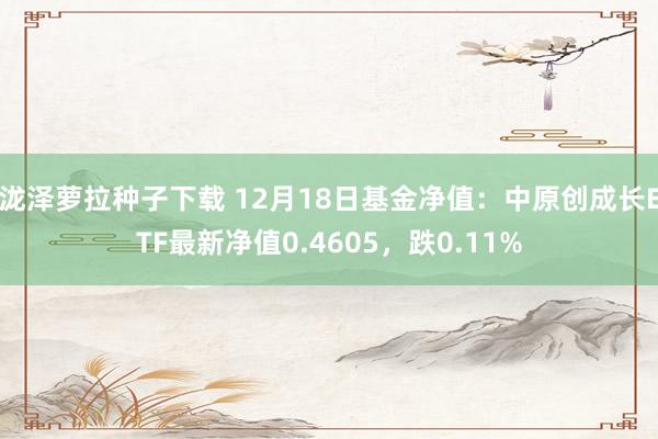 泷泽萝拉种子下载 12月18日基金净值：中原创成长ETF最新净值0.4605，跌0.11%