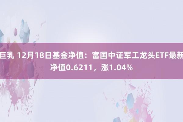 巨乳 12月18日基金净值：富国中证军工龙头ETF最新净值0.6211，涨1.04%