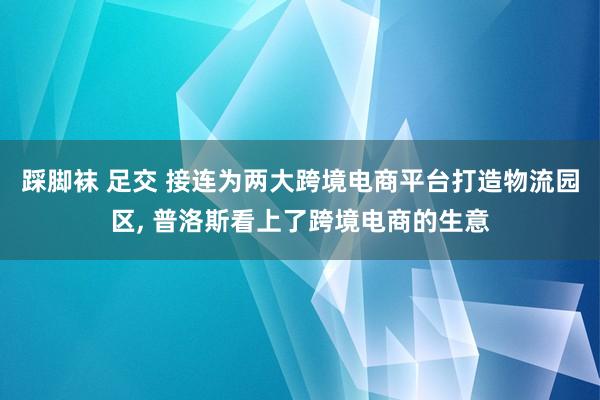 踩脚袜 足交 接连为两大跨境电商平台打造物流园区， 普洛斯看上了跨境电商的生意