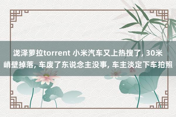 泷泽萝拉torrent 小米汽车又上热搜了， 30米峭壁掉落， 车废了东说念主没事， 车主淡定下车拍照