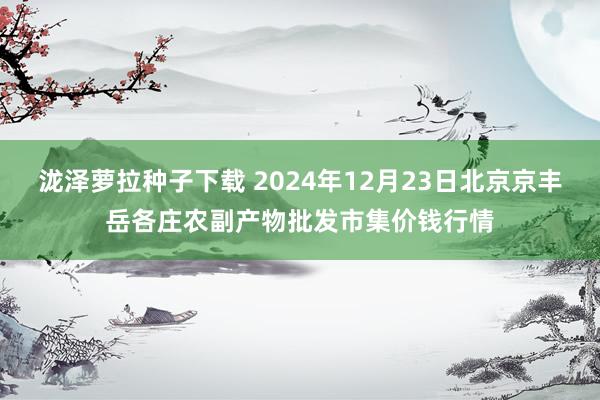 泷泽萝拉种子下载 2024年12月23日北京京丰岳各庄农副产物批发市集价钱行情