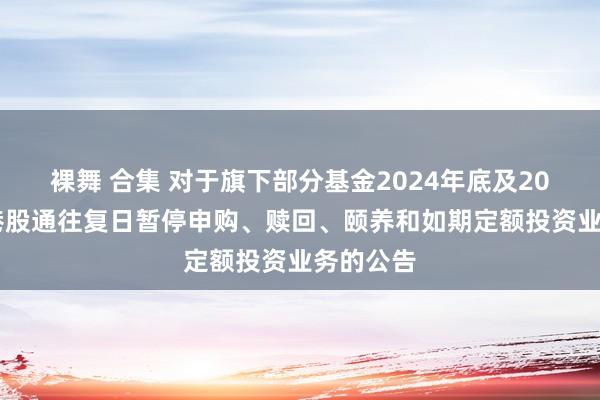 裸舞 合集 对于旗下部分基金2024年底及2025年非港股通往复日暂停申购、赎回、颐养和如期定额投资业务的公告