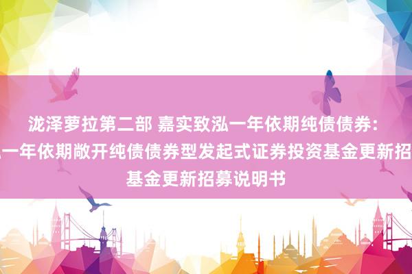 泷泽萝拉第二部 嘉实致泓一年依期纯债债券: 嘉实致泓一年依期敞开纯债债券型发起式证券投资基金更新招募说明书